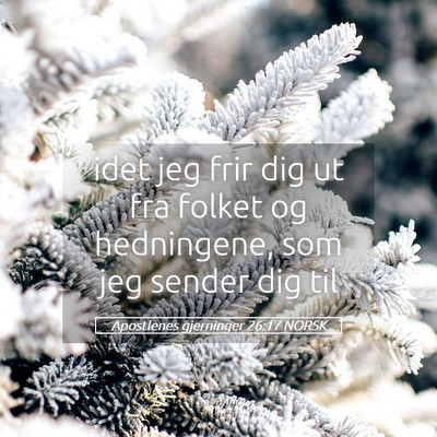 Picture 05 - Apostlenes gjerninger 26:17 NORSK - idet jeg frir dig ut fra folket og hedningene, - Bible Verse Picture