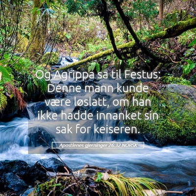 Picture 05 - Apostlenes gjerninger 26:32 NORSK - Og Agrippa sa til Festus: Denne mann kunde være - Bible Verse Picture