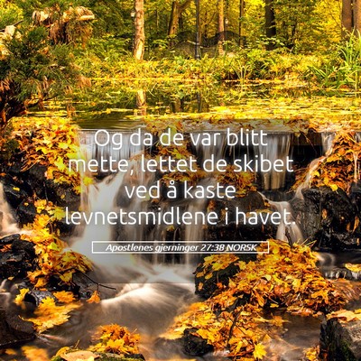 Picture 05 - Apostlenes gjerninger 27:38 NORSK - Og da de var blitt mette, lettet de skibet ved å - Bible Verse Picture