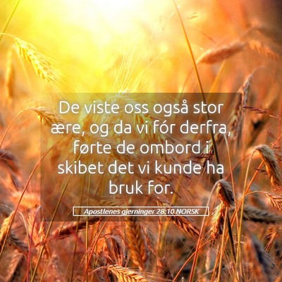Picture 05 - Apostlenes gjerninger 28:10 NORSK - De viste oss også stor ære, og da vi fór - Bible Verse Picture