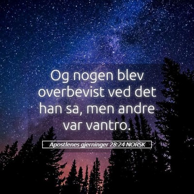 Picture 05 - Apostlenes gjerninger 28:24 NORSK - Og nogen blev overbevist ved det han sa, men - Bible Verse Picture