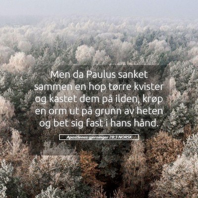 Picture 05 - Apostlenes gjerninger 28:3 NORSK - Men da Paulus sanket sammen en hop tørre kvister - Bible Verse Picture