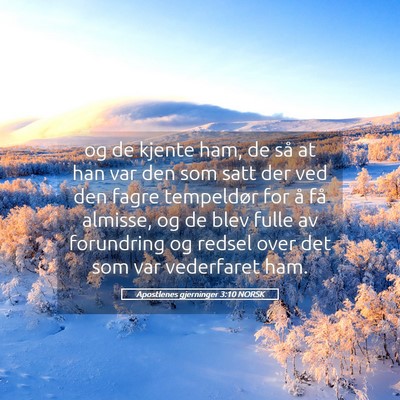 Picture 05 - Apostlenes gjerninger 3:10 NORSK - og de kjente ham, de så at han var den som satt - Bible Verse Picture
