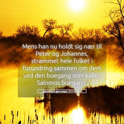 Picture 05 - Apostlenes gjerninger 3:11 NORSK - Mens han nu holdt sig nær til Peter og Johannes, - Bible Verse Picture