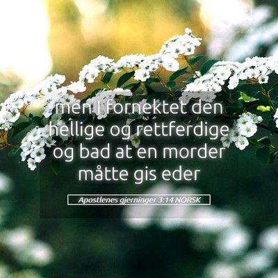 Picture 05 - Apostlenes gjerninger 3:14 NORSK - men I fornektet den hellige og rettferdige og bad - Bible Verse Picture