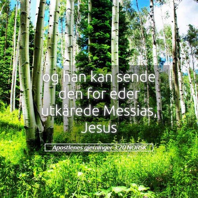 Picture 05 - Apostlenes gjerninger 3:20 NORSK - og han kan sende den for eder utkårede Messias, - Bible Verse Picture