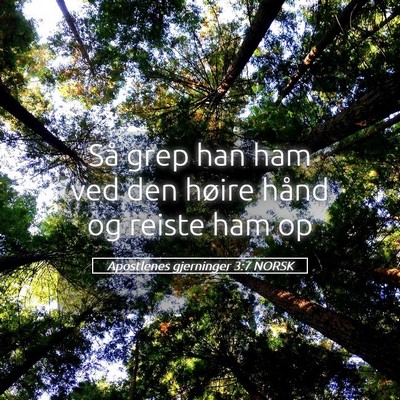Picture 05 - Apostlenes gjerninger 3:7 NORSK - Så grep han ham ved den høire hånd og reiste - Bible Verse Picture