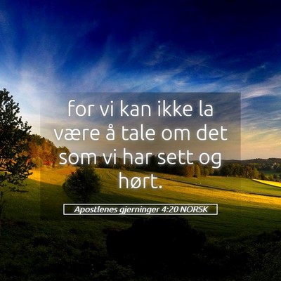 Picture 05 - Apostlenes gjerninger 4:20 NORSK - for vi kan ikke la være å tale om det som vi - Bible Verse Picture