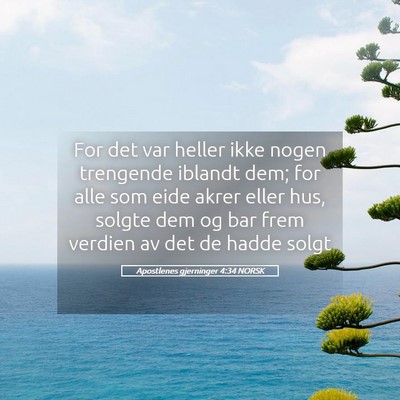 Picture 05 - Apostlenes gjerninger 4:34 NORSK - For det var heller ikke nogen trengende iblandt - Bible Verse Picture