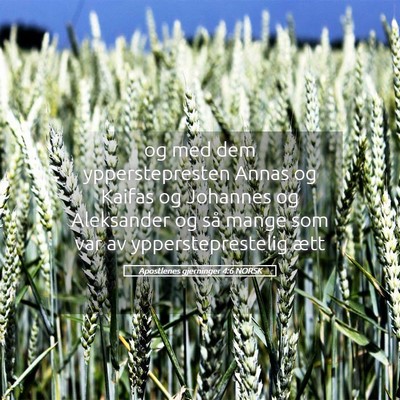 Picture 05 - Apostlenes gjerninger 4:6 NORSK - og med dem ypperstepresten Annas og Kaifas og - Bible Verse Picture