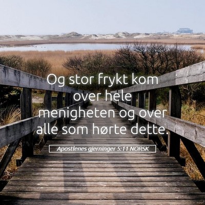 Picture 05 - Apostlenes gjerninger 5:11 NORSK - Og stor frykt kom over hele menigheten og over - Bible Verse Picture
