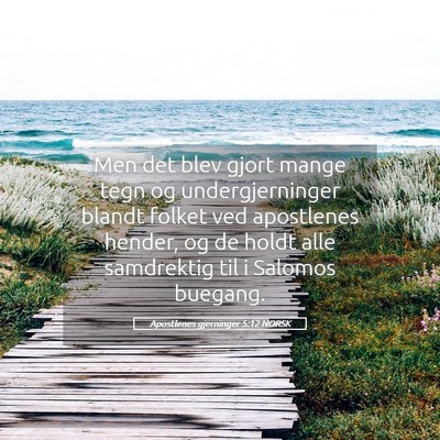 Picture 05 - Apostlenes gjerninger 5:12 NORSK - Men det blev gjort mange tegn og undergjerninger - Bible Verse Picture