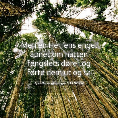 Picture 05 - Apostlenes gjerninger 5:19 NORSK - Men en Herrens engel åpnet om natten fengslets - Bible Verse Picture
