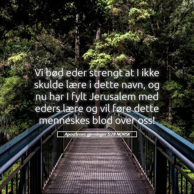 Picture 05 - Apostlenes gjerninger 5:28 NORSK - Vi bød eder strengt at I ikke skulde lære i - Bible Verse Picture