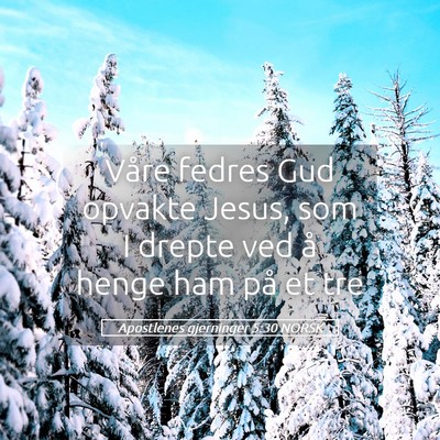 Picture 05 - Apostlenes gjerninger 5:30 NORSK - Våre fedres Gud opvakte Jesus, som I drepte ved - Bible Verse Picture