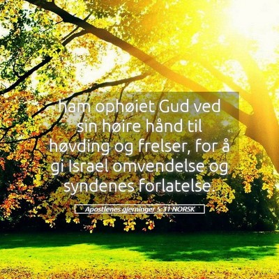 Picture 05 - Apostlenes gjerninger 5:31 NORSK - ham ophøiet Gud ved sin høire hånd til - Bible Verse Picture