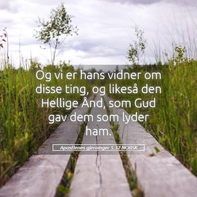 Picture 05 - Apostlenes gjerninger 5:32 NORSK - Og vi er hans vidner om disse ting, og likeså - Bible Verse Picture