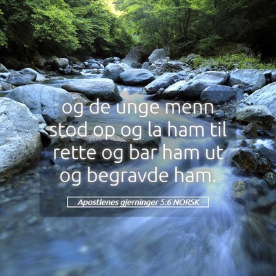 Picture 05 - Apostlenes gjerninger 5:6 NORSK - og de unge menn stod op og la ham til rette og - Bible Verse Picture