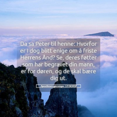 Picture 05 - Apostlenes gjerninger 5:9 NORSK - Da sa Peter til henne: Hvorfor er I dog blitt - Bible Verse Picture