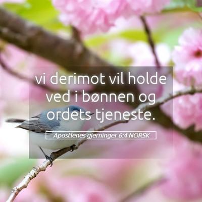 Picture 05 - Apostlenes gjerninger 6:4 NORSK - vi derimot vil holde ved i bønnen og ordets - Bible Verse Picture