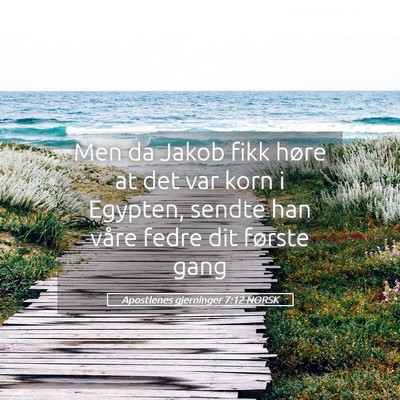 Picture 05 - Apostlenes gjerninger 7:12 NORSK - Men da Jakob fikk høre at det var korn i - Bible Verse Picture