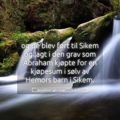 Picture 05 - Apostlenes gjerninger 7:16 NORSK - og de blev ført til Sikem og lagt i den grav som - Bible Verse Picture