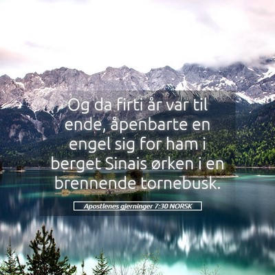 Picture 05 - Apostlenes gjerninger 7:30 NORSK - Og da firti år var til ende, åpenbarte en engel - Bible Verse Picture
