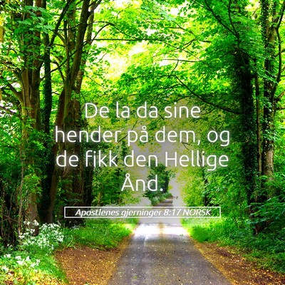 Picture 05 - Apostlenes gjerninger 8:17 NORSK - De la da sine hender på dem, og de fikk den - Bible Verse Picture