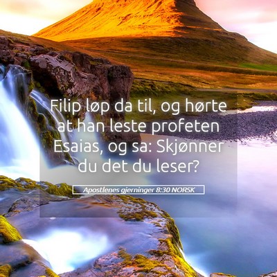 Picture 05 - Apostlenes gjerninger 8:30 NORSK - Filip løp da til, og hørte at han leste - Bible Verse Picture