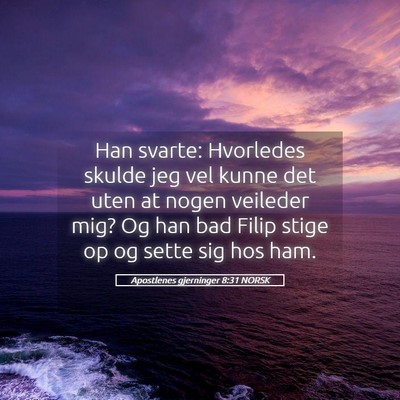 Picture 05 - Apostlenes gjerninger 8:31 NORSK - Han svarte: Hvorledes skulde jeg vel kunne det - Bible Verse Picture