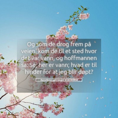 Picture 05 - Apostlenes gjerninger 8:36 NORSK - Og som de drog frem på veien, kom de til et sted - Bible Verse Picture
