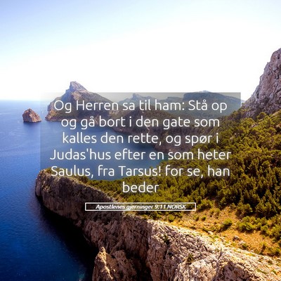 Picture 05 - Apostlenes gjerninger 9:11 NORSK - Og Herren sa til ham: Stå op og gå bort i den - Bible Verse Picture