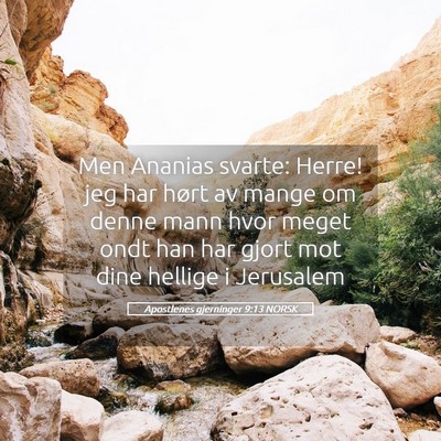 Picture 05 - Apostlenes gjerninger 9:13 NORSK - Men Ananias svarte: Herre! jeg har hørt av mange - Bible Verse Picture