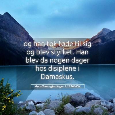 Picture 05 - Apostlenes gjerninger 9:19 NORSK - og han tok føde til sig og blev styrket. Han - Bible Verse Picture
