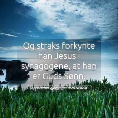 Picture 05 - Apostlenes gjerninger 9:20 NORSK - Og straks forkynte han Jesus i synagogene, at han - Bible Verse Picture