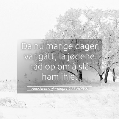 Picture 05 - Apostlenes gjerninger 9:23 NORSK - Da nu mange dager var gått, la jødene råd op - Bible Verse Picture