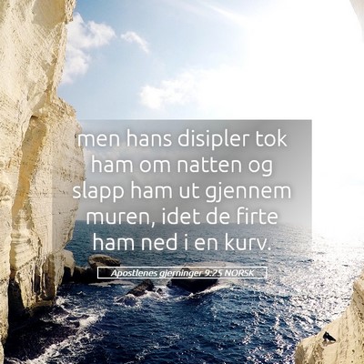 Picture 05 - Apostlenes gjerninger 9:25 NORSK - men hans disipler tok ham om natten og slapp ham - Bible Verse Picture