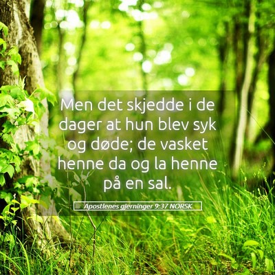 Picture 05 - Apostlenes gjerninger 9:37 NORSK - Men det skjedde i de dager at hun blev syk og - Bible Verse Picture