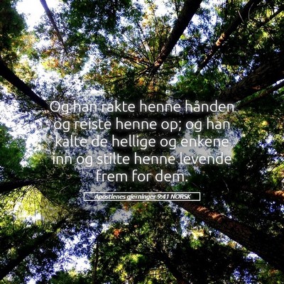 Picture 05 - Apostlenes gjerninger 9:41 NORSK - Og han rakte henne hånden og reiste henne op; og - Bible Verse Picture