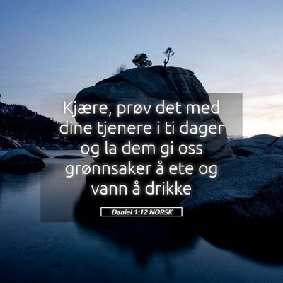 Picture 05 - Daniel 1:12 NORSK - Kjære, prøv det med dine tjenere i ti dager og - Bible Verse Picture