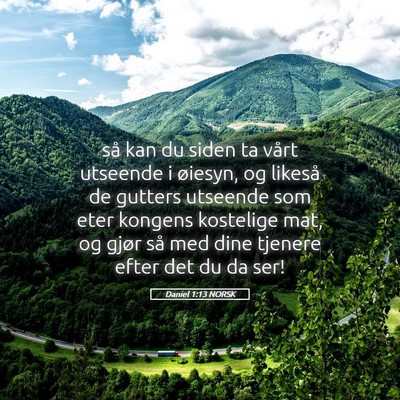 Picture 05 - Daniel 1:13 NORSK - så kan du siden ta vårt utseende i øiesyn, og - Bible Verse Picture