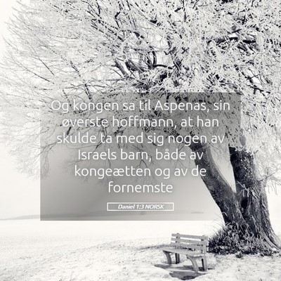 Picture 05 - Daniel 1:3 NORSK - Og kongen sa til Aspenas, sin øverste hoffmann, - Bible Verse Picture