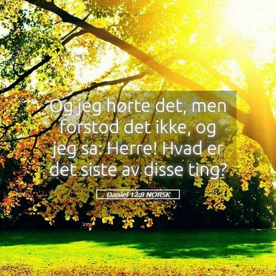 Picture 05 - Daniel 12:8 NORSK - Og jeg hørte det, men forstod det ikke, og jeg - Bible Verse Picture