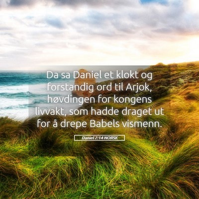 Picture 05 - Daniel 2:14 NORSK - Da sa Daniel et klokt og forstandig ord til - Bible Verse Picture