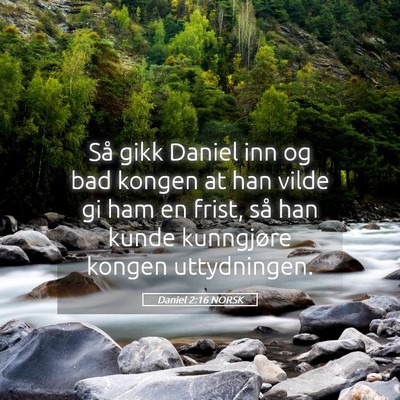 Picture 05 - Daniel 2:16 NORSK - Så gikk Daniel inn og bad kongen at han vilde gi - Bible Verse Picture