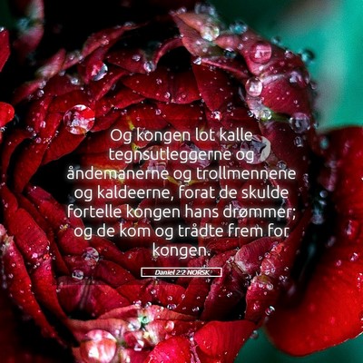 Picture 05 - Daniel 2:2 NORSK - Og kongen lot kalle tegnsutleggerne og - Bible Verse Picture