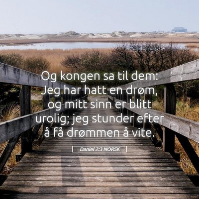 Picture 05 - Daniel 2:3 NORSK - Og kongen sa til dem: Jeg har hatt en drøm, og - Bible Verse Picture