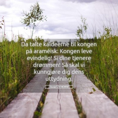 Picture 05 - Daniel 2:4 NORSK - Da talte kaldeerne til kongen på araméisk: - Bible Verse Picture