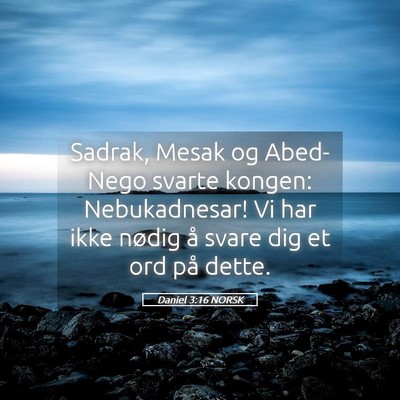 Picture 05 - Daniel 3:16 NORSK - Sadrak, Mesak og Abed-Nego svarte kongen: - Bible Verse Picture