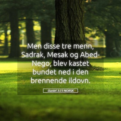 Picture 05 - Daniel 3:23 NORSK - Men disse tre menn, Sadrak, Mesak og Abed-Nego, - Bible Verse Picture